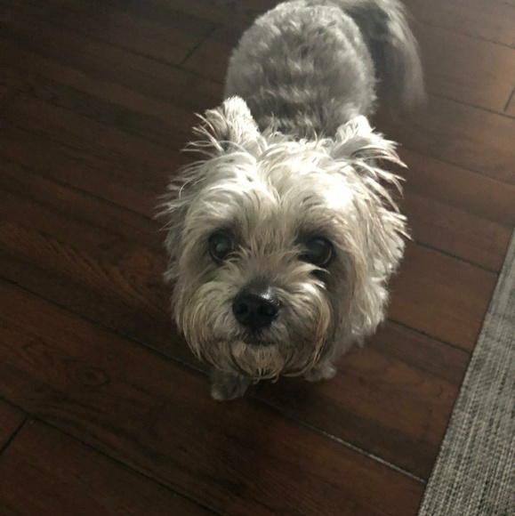 Meet your Posher, Lori - Picture 1 of 1